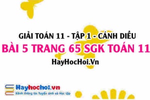 Giải bài 5 trang 65 Toán 11 tập 1 SGK Cánh Diều